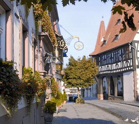 Hotel-Restaurant Drei Hasen Michelstadt Luaran gambar